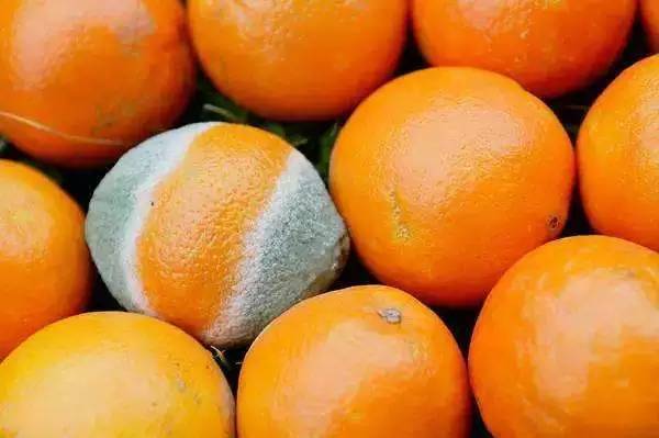 胃癌|胃癌危害大，三种食物经常吃容易得胃癌