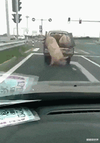 |“总经理办公室这样设计，要不要加厚隔音墙呢？”哈哈哈哈哈太有才了