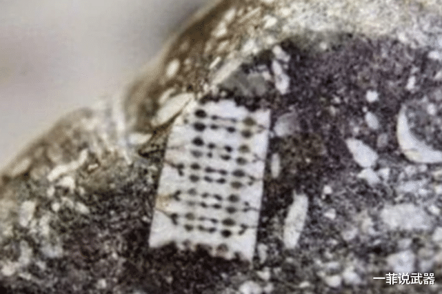 中国航天 地球文明一直在循环？俄罗斯发现一块“芯片”，距今已2.5亿年