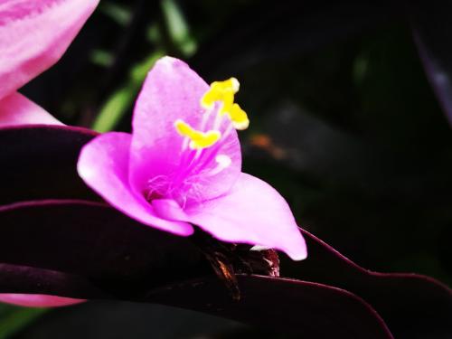 离雨微凉 看清一个人,三件事就够了