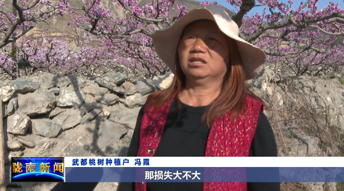 陇南广播电视台 春风十里，都不如文明赏花的你