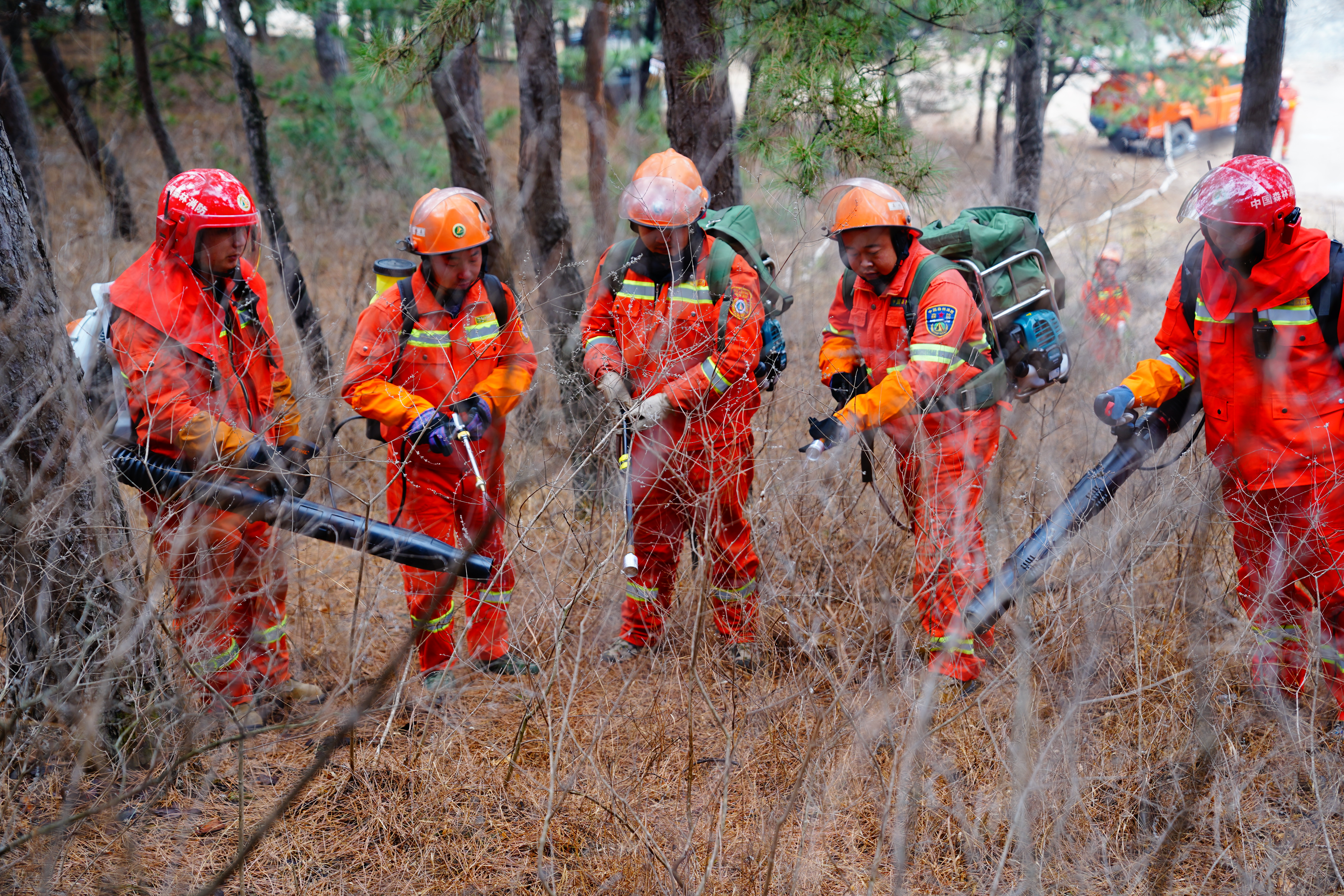 燕赵都市报 唐山消防救援大队与森林消防联勤联训