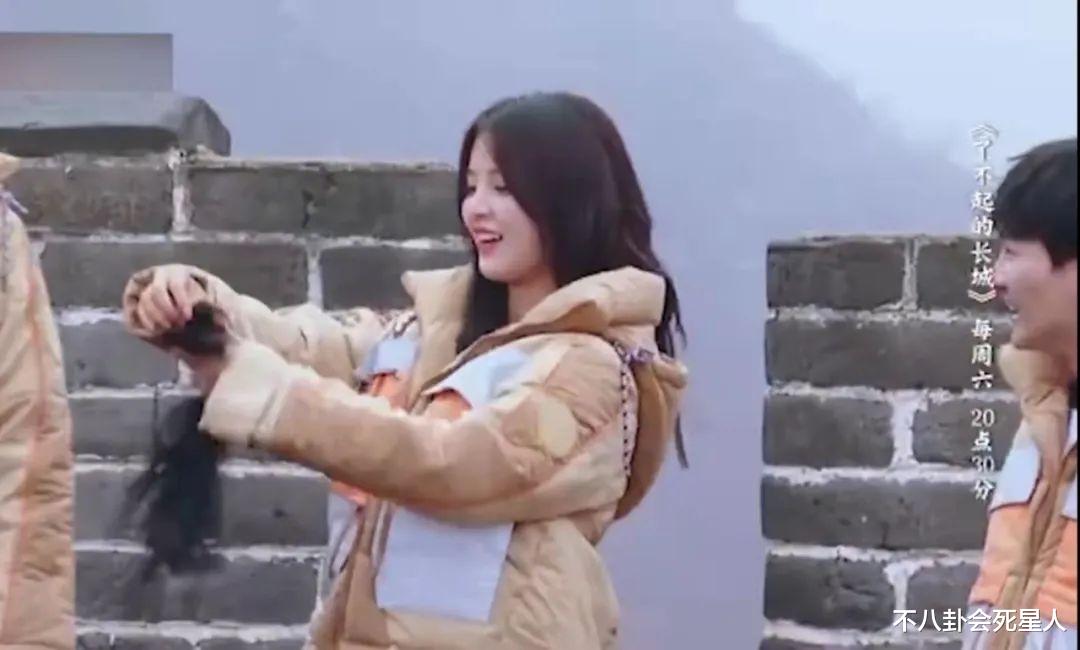 秦岚|明星“秃顶”群像，中年男星头顶稀疏成重灾区，女星靠假发片社交