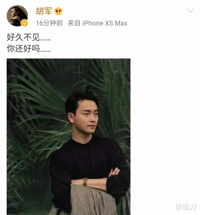 胡军|他一直都这么勇敢吗？“文戏演员”胡军的硬汉之路