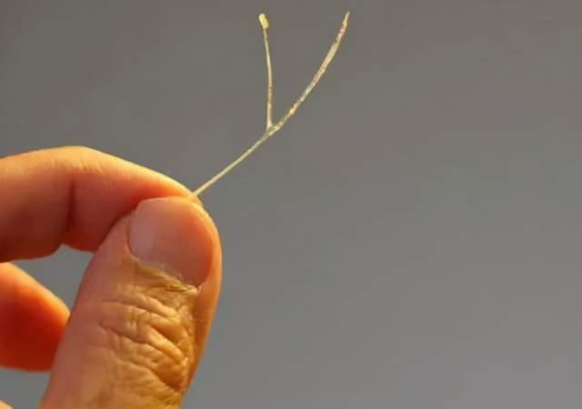 全能辣媽plus 5歲娃被雞骨卡喉，奶奶關(guān)鍵2步救娃一命，大夫：多讀書就是好