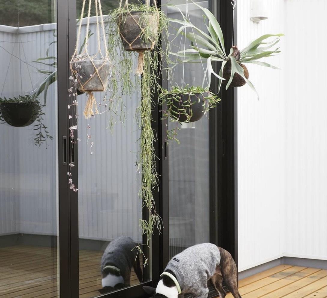 一个人的断舍离!小家坚持一日一清洁,一个人日子过得有滋有味!