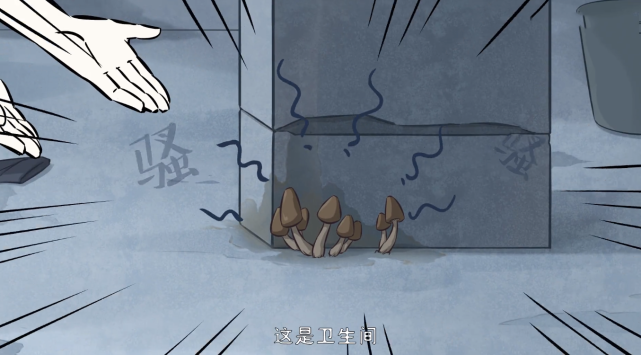 海贼王|非人哉90集：真狐朋狗友的合租日记，这也算大房子？