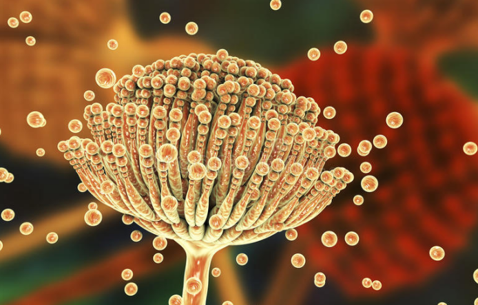 肝脏|研究癌症60年，92岁肿瘤院士告诫：4个因素尽量避免，那是自毁