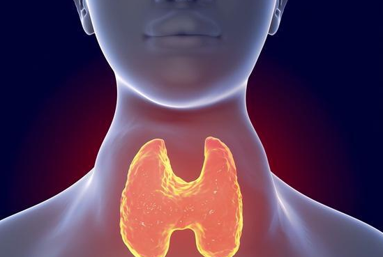 甲状腺癌|甲状腺癌的“源头”被发现， 烟酒未上榜，第一名我们谁都离不了