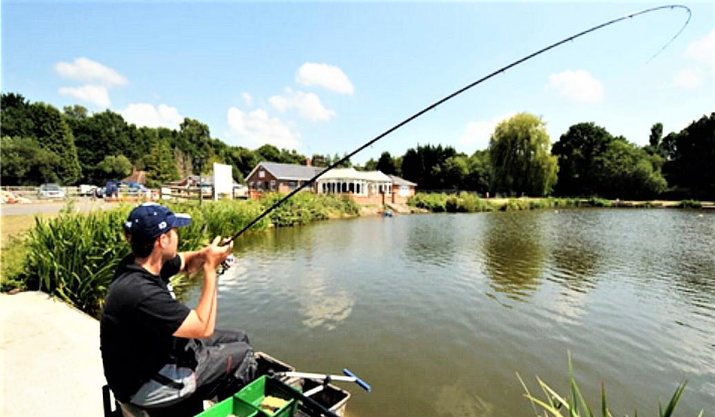 饵料|野钓时鱼停口往往是这些原因所导致，这样调整状况，没口变有口