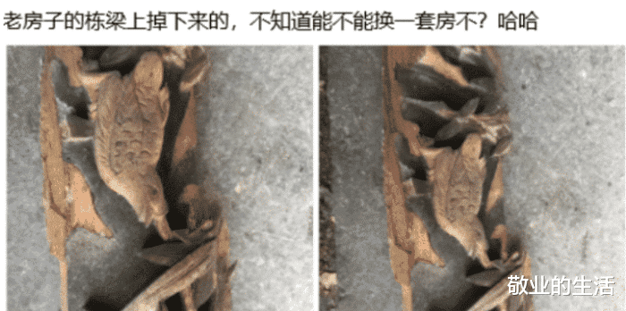 房地产税|“老房子的栋梁上掉下来的，不知道能不能换一套房？”