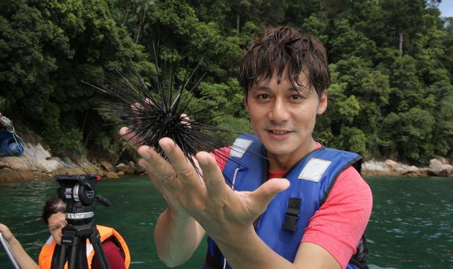 分居|又一男星被曝离婚，与小10岁妻子结婚9年聚少离多，如今已分居