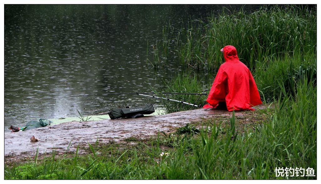 水电站|刚下完雨就去钓鱼,鱼容易上钩吗?