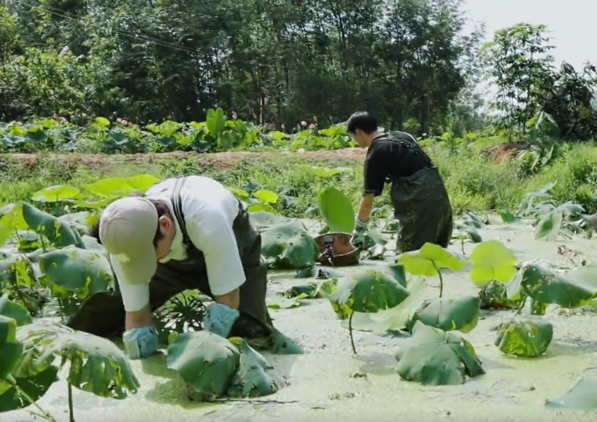 陆毅|《向往的生活5》首播出漏洞，如果没有黄磊这句话，估计要被骂了