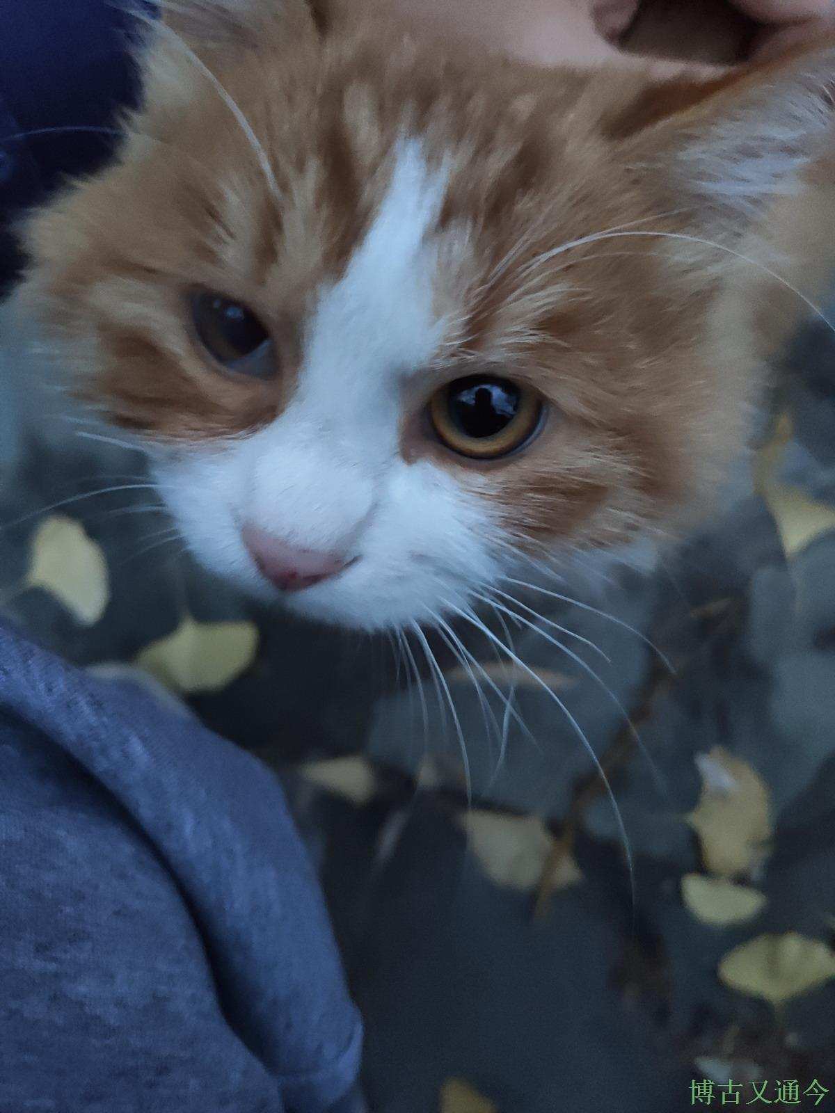 博古又通今 四环边郊野公园散心，回顾一冬走过来的景象