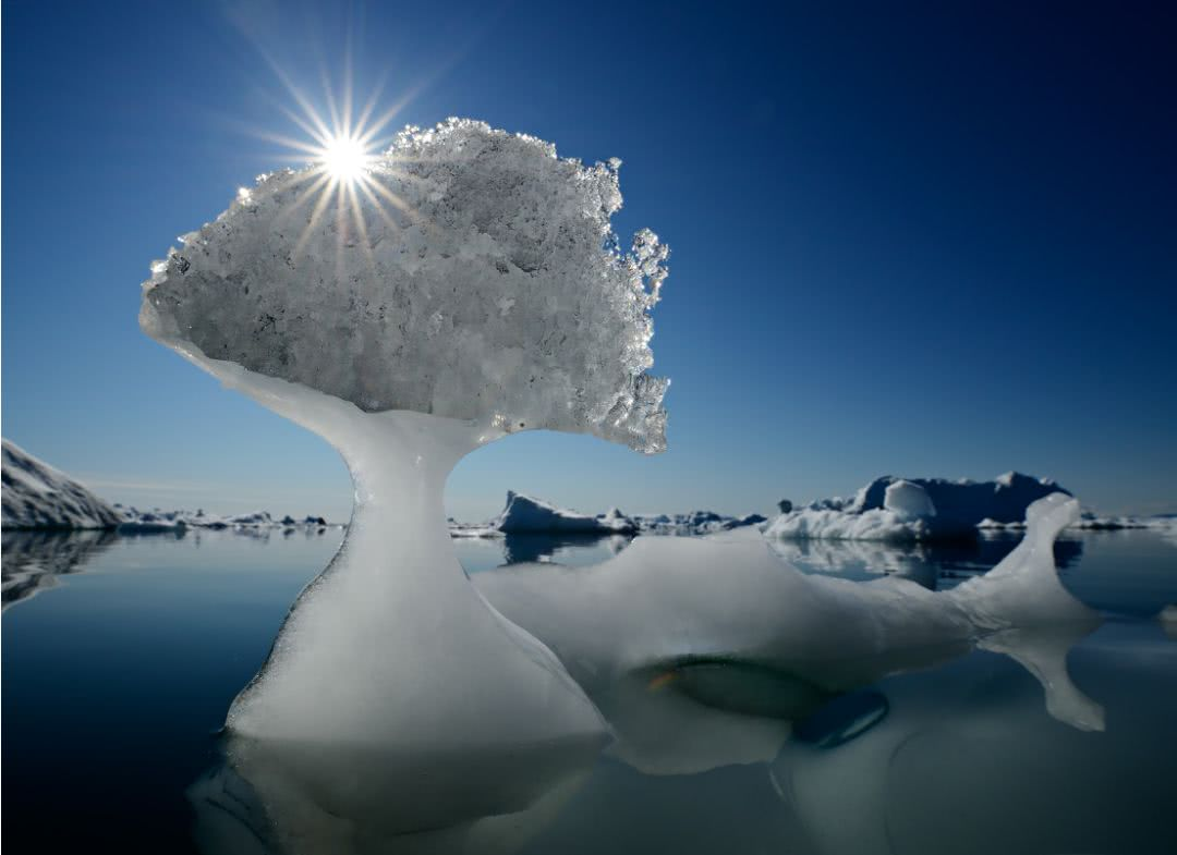 冰盖 北极居然下雨了，格陵兰岛冰盖竟遇71年来最大降雨！危害有多严重