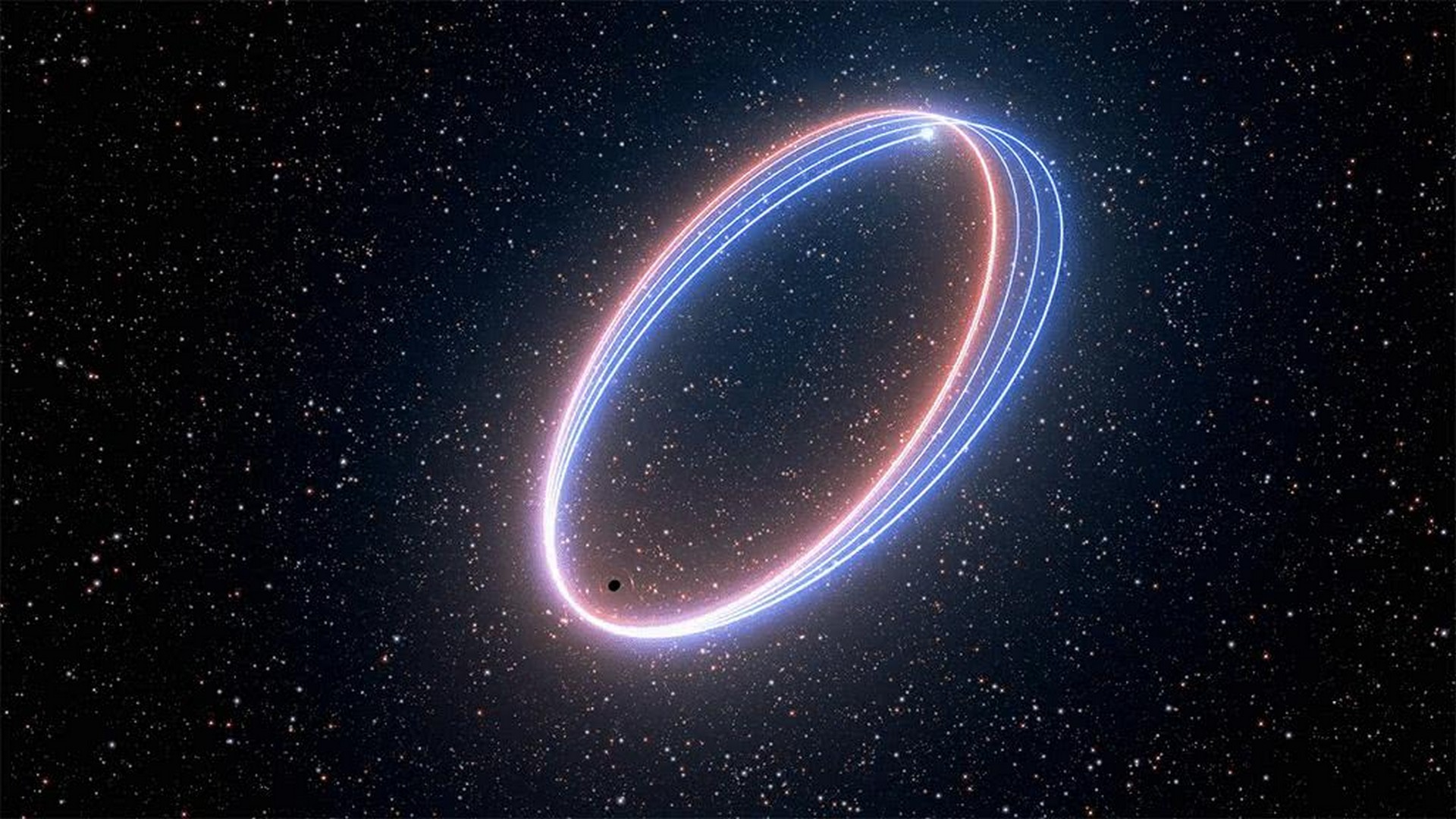 小优探索|小鸡蛋也有大作用,鸡蛋方程被用于设计工程先进的技术