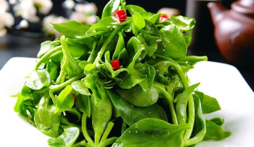 凉拌|这菜叶子是个宝,可惜很多人当草,尤其夏天要多吃,清热又去火