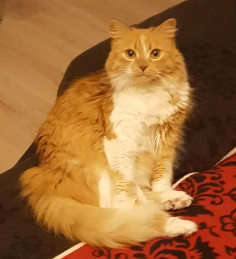 海之归墟|32张带有“误导性”的照片,你能一眼看明白吗?