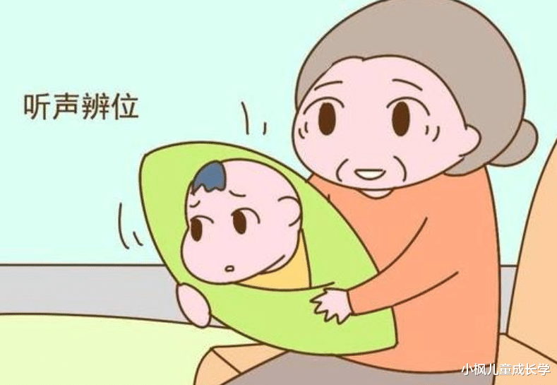 小枫儿童成长学|哈佛研究发现:3岁前,宝宝多接受这些“刺激”,大脑会更聪明