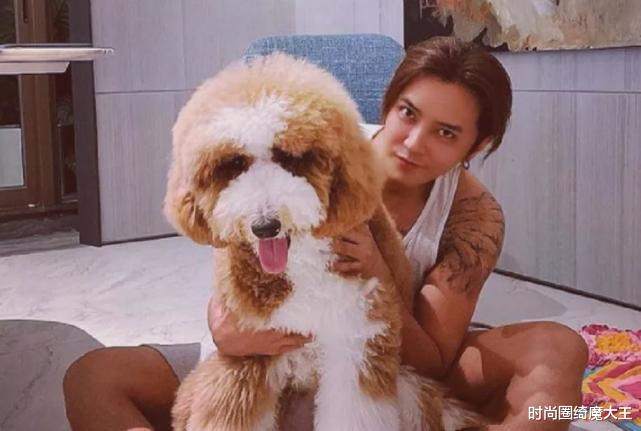 罗志祥|罗志祥复出后炫富，宠物狗有豪车代步，首秀被邀参加家乡跨年晚会