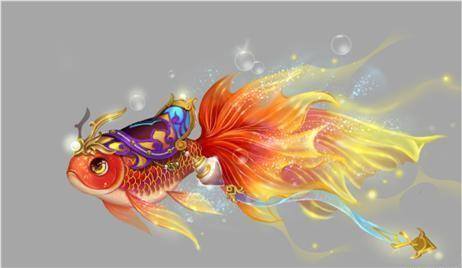 泡沫说情感|心理测试:哪一条锦绣鱼最美丽?测你的好运什么时候到来!