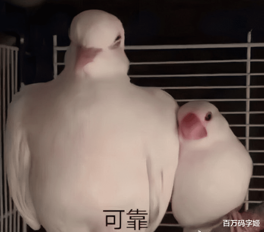 工地|我，大专桥梁专业，年薪15万，33岁单身，工作太忙太苦没时间恋爱