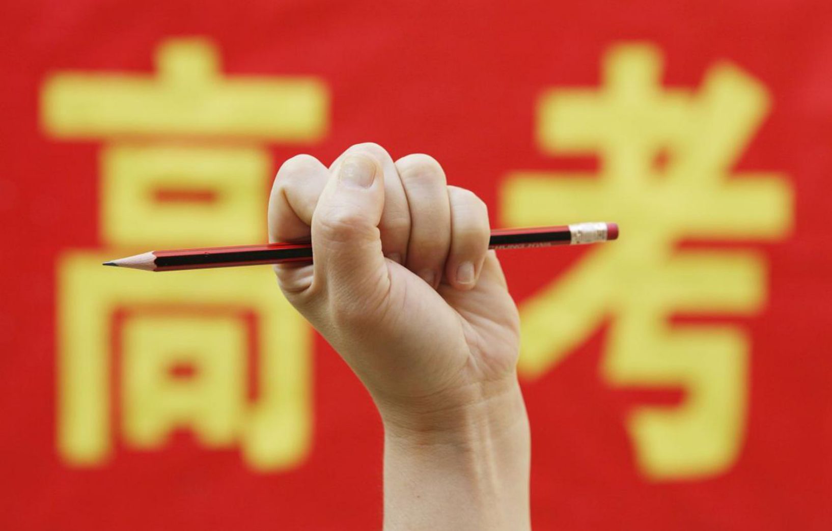 大学|高考志愿到底应该怎么填？学校、专业、地域到底应该怎么选？