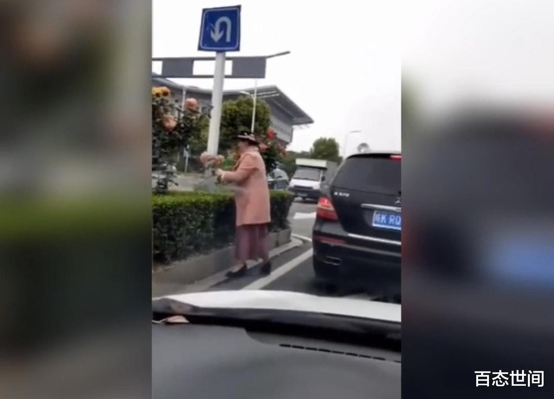 百态世间 阜阳奔驰女乘客在十字路口下车剪绿化带鲜花，被城管交警齐齐罚款