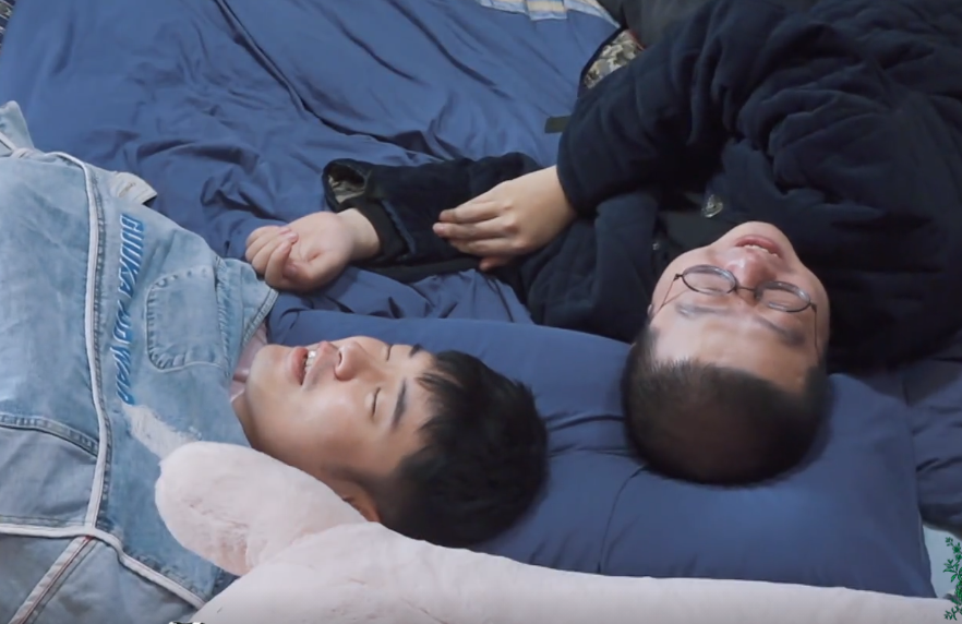 贾晓晨|一泡狗尿，张艺兴、陈赫、张子枫联手扯下了“向往的生活”遮羞布