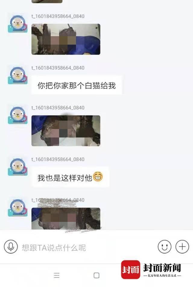 警察 男子收养猫咪后“变脸”，向原主人索要裸照，不给就虐杀猫咪