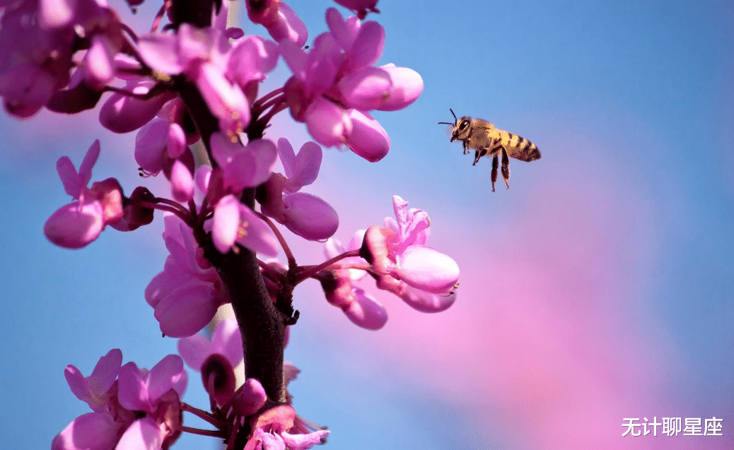 星座男|新的一年，前途光明、值得信赖的4个星座男，有进取心，不断打拼