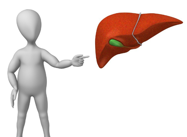 妇科疾病|肝脏不好,与吃大蒜有关?要想肝脏健康,医生:尽量少碰2物