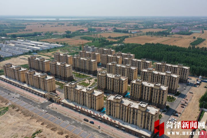 牡丹晚报 乐陵市杨安镇：中国味道，从这里出发