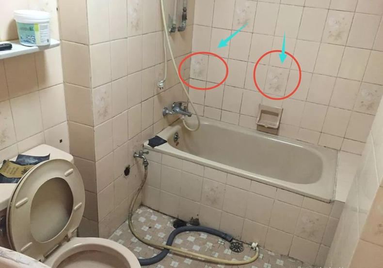 卫生间|刚步入社会妹子租650房子，花1600改造！房东看完不淡定了想收回