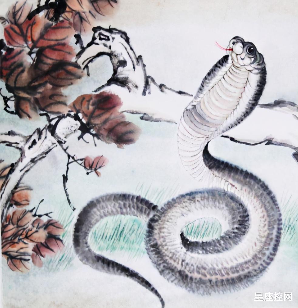 生肖|七月不走弯路，不遇小人，不再点背的四大生肖，好运光芒四射