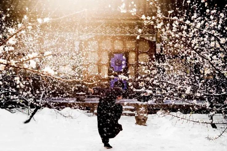 王家卫|王家卫泯然众人矣