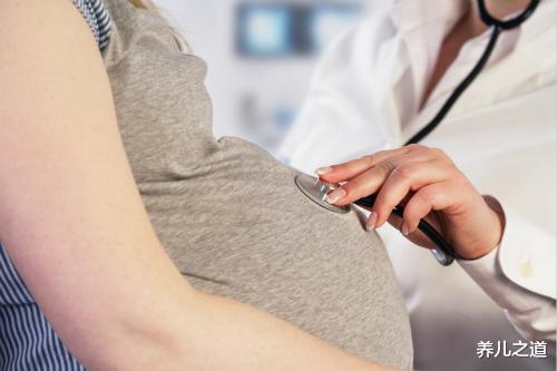 养儿之道|胎儿脑发育高峰期只有一个月,错过这个月,就真的“输在起跑线”