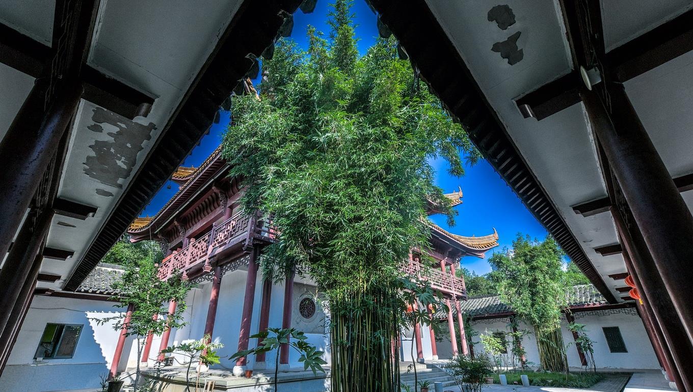 奶球妈咪聊|徽茶艺术馆:合肥最小的展览馆,以“园中园”格局为特色!