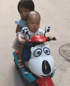 职业教育|“4条腿的蛤蟆到处是，8条腿的你见过没？”哈哈哈真开眼了...