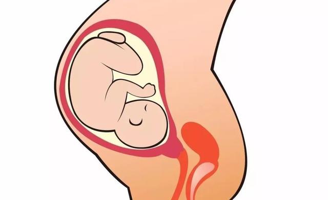 众益康|子宫“不喜欢”的4种水果，若想子宫温暖一些，秋季尽量少碰