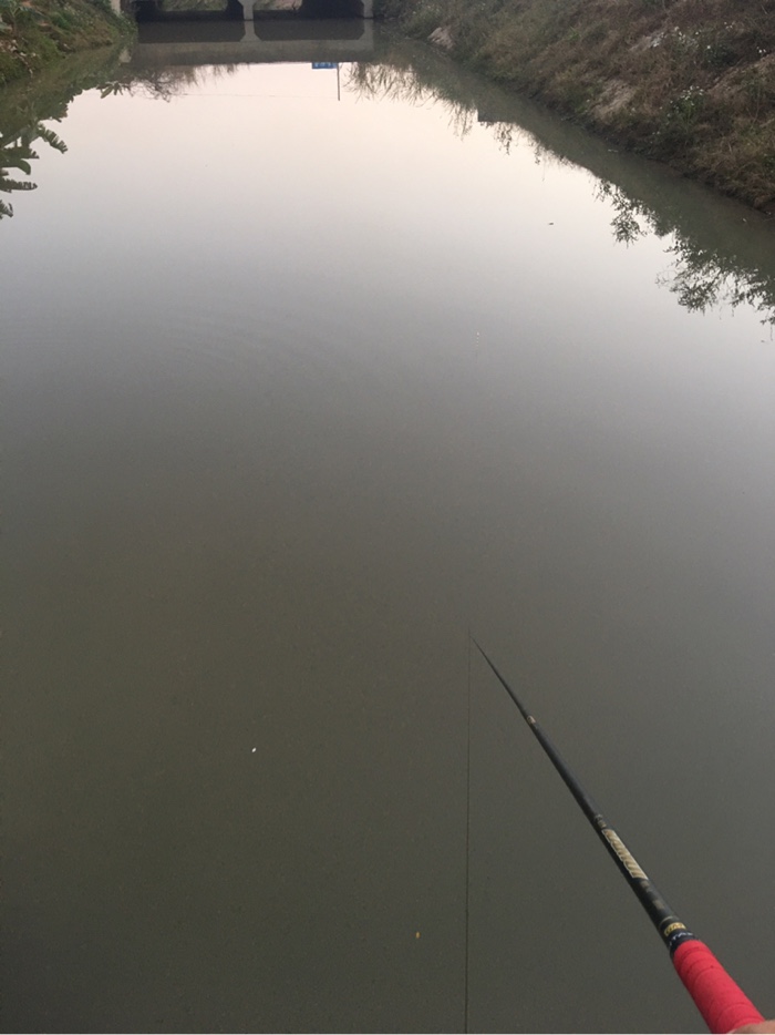 饵料|2021-9#白天干到晚上，依然干不过