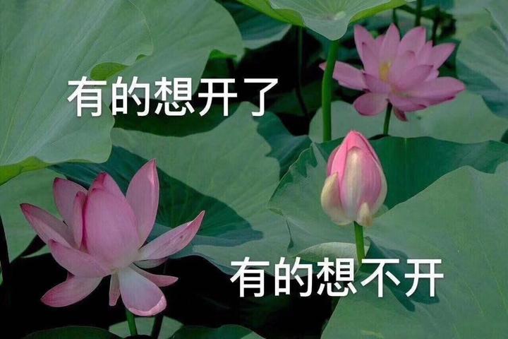 洗面奶|北大医生警示：皂基洗面奶真的很“可怕”不仅白花钱还可能烂脸