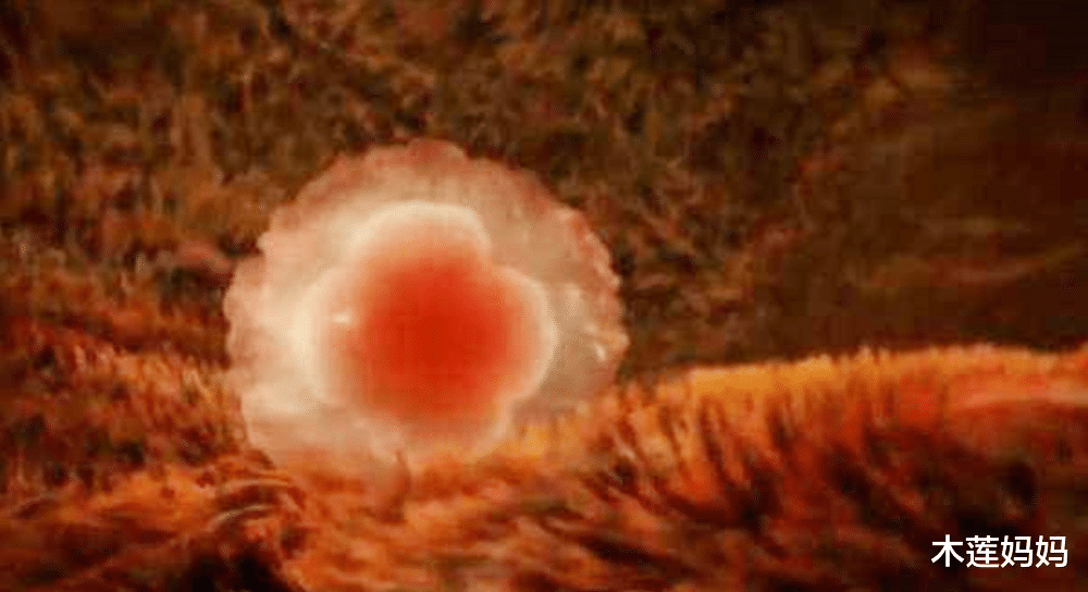 木莲妈妈|不是亲密后就会怀孕,想要“开花结果”,五个必要的条件要具备