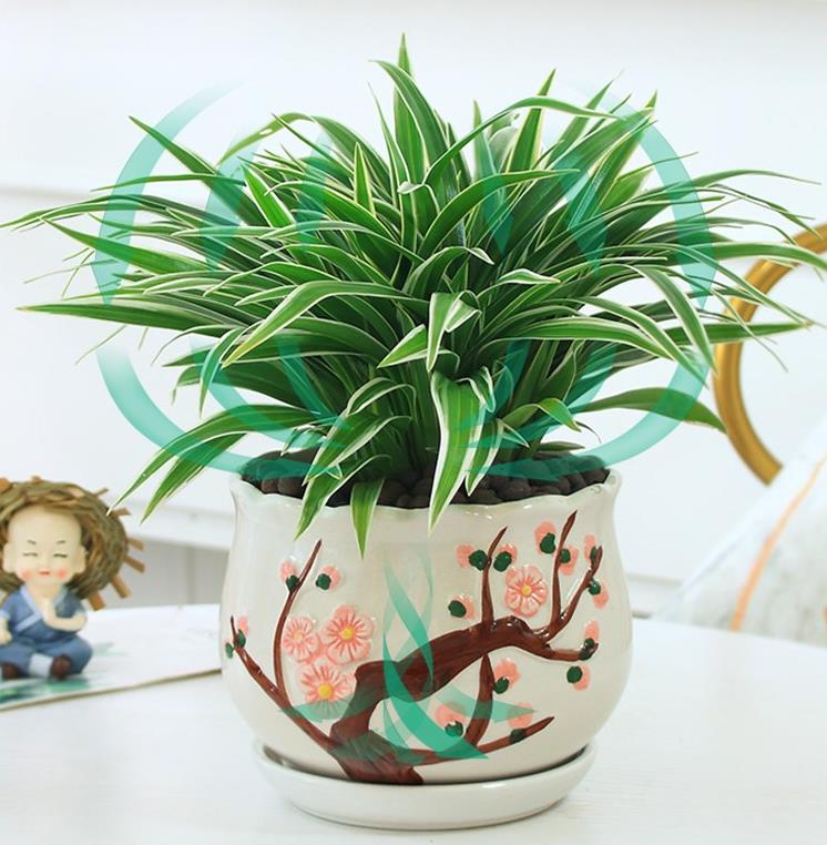 花5000块，把14㎡阳台变成一个小花园，小小的改变感受大大的幸福