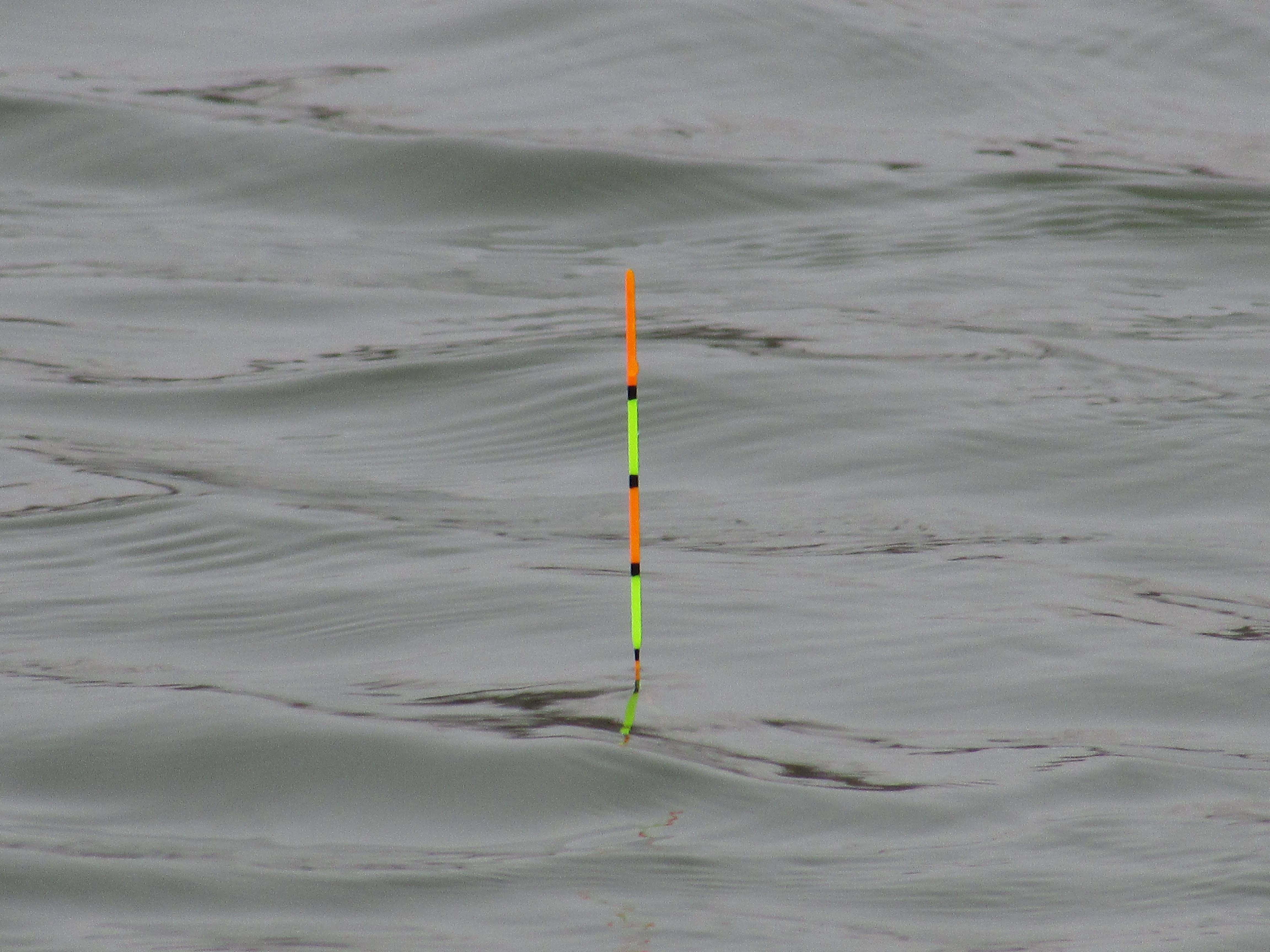 巴尔|浮漂有两个隐藏缺陷,只有细心钓友才会发现,关键它影响渔获