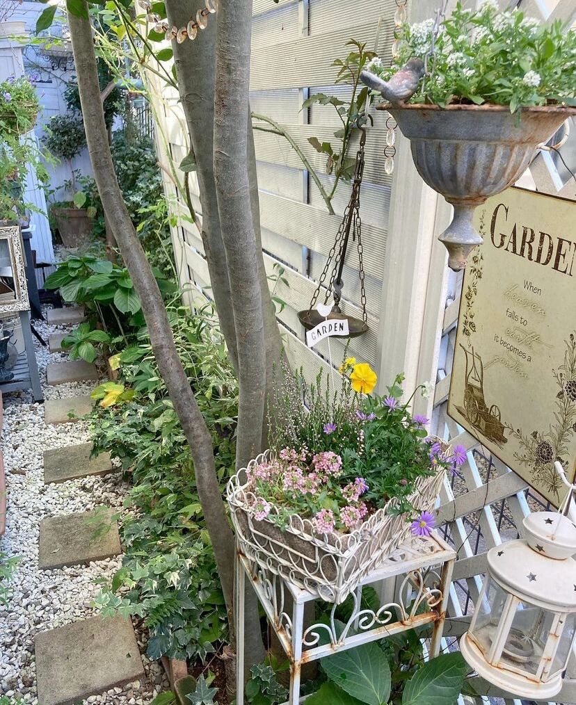 8㎡的狭长小道,也能建漂亮花园,对于阳台党来说非常值得借鉴