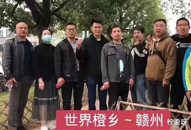 孙红雷|继田静直播带货后，开封舅舅带货脐橙，被嘲28事件本质是带货？