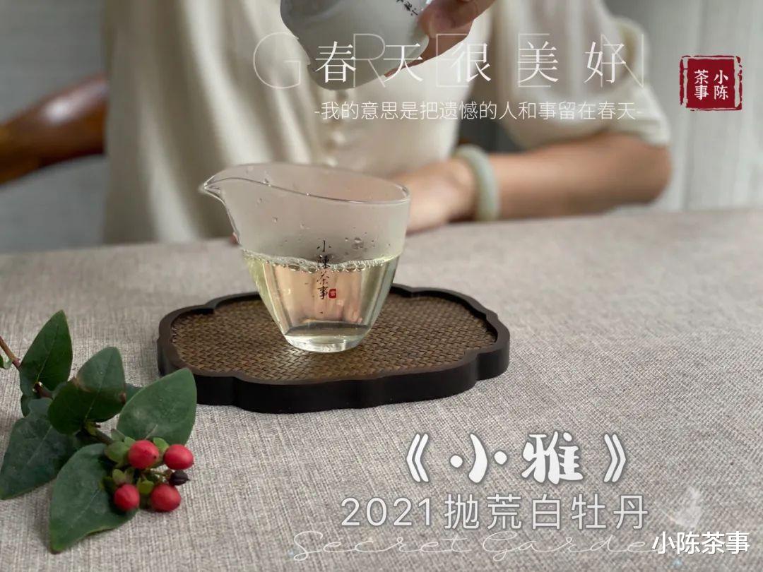 白茶|无论白茶、岩茶、红茶，闻起来有香气，但喝起来不香的茶，别喝了