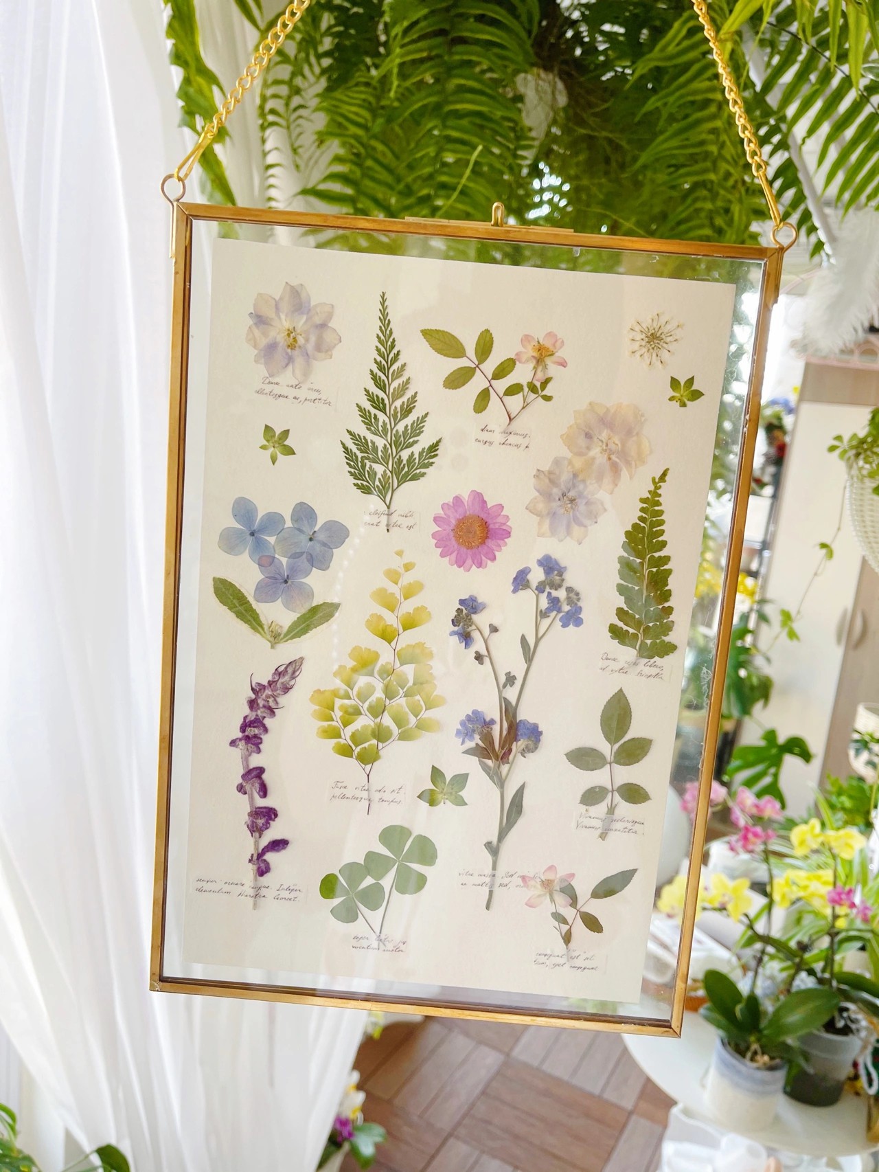 花5000块，把14㎡阳台变成一个小花园，小小的改变感受大大的幸福